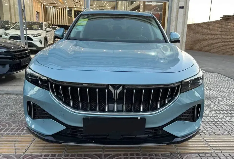 نمای جلو وویا فری